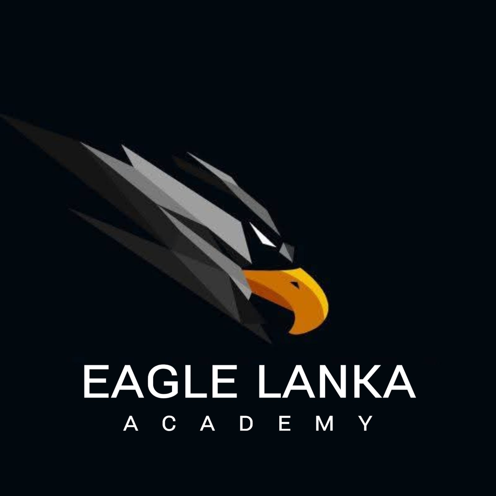 EAGLE LANKA ACADEMY